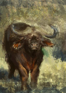 African Buffalo Painting