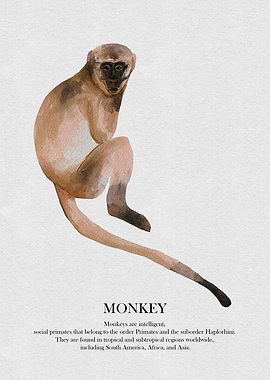 Watercolor Monkey Illustration