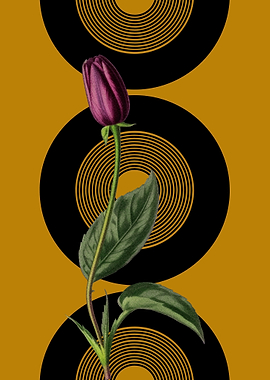 Single Rose with Vinyl Art