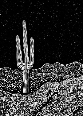Cactus Under Stars