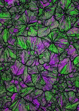 Microscopic Crystal Pattern