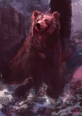 Bear Portrait