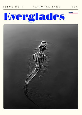 Everglades Travel Art Poster