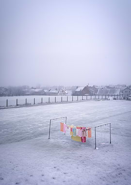 Color Amidst Snowfall