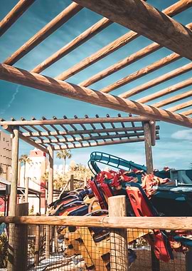 Phoenix Rising Busch Gardens Tampa