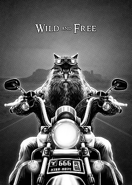 Cat on Motorcycle