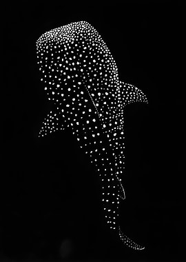 Whale Shark Silhouette