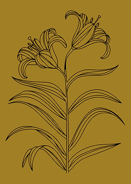 Elegant Botanical Line Art – Golden Lily
