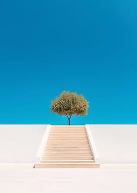 Minimalist landscape