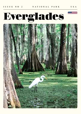 Everglades National Park Travel Art Poster