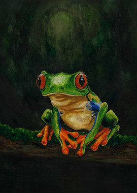 Red-Eyed Tree Frog