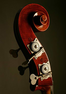 Double Bass Headstock