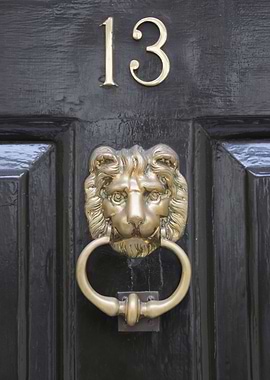 Majestic Lion Door Knocker