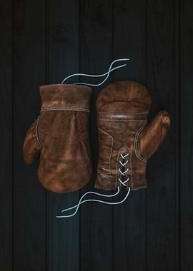 Vintage Leather Boxing Gloves