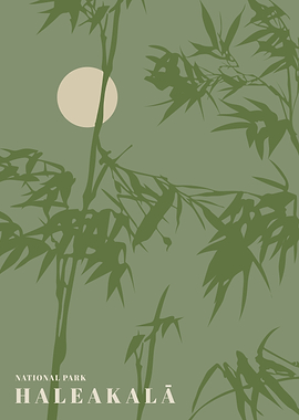 Haleakala National Park Poster