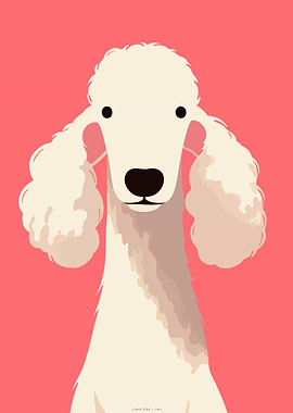 Cute Bedlington Terrier Dog Portrait Minimalist Art
