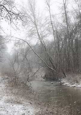 Snowy River in Winter