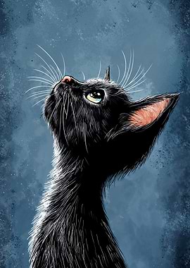 Black Cat Looking Up
