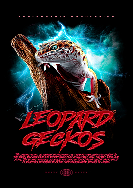 Leopard Gecko Poster