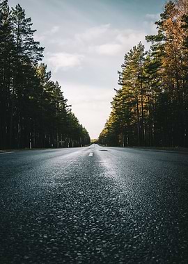 Empty Road Through Forest