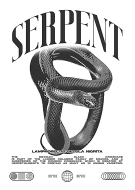 Mexican Black Kingsnake Reptile Keeper