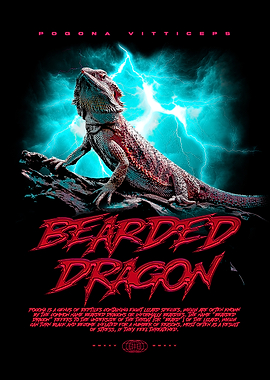 Bearded Dragon Reptile Keeper