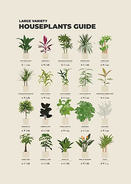 Houseplants Guide Poster