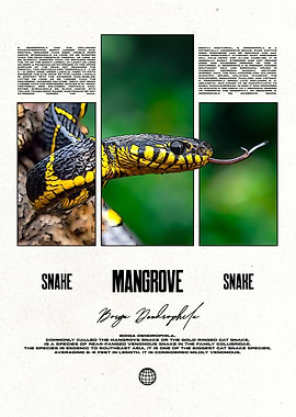 Mangrove Snake Reptile Keeper
