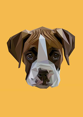 Abstract Boxer Dog Head Low Poly