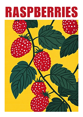 Raspberries Retro Fruit Art Print