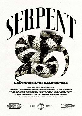 California Kingsnake Poster