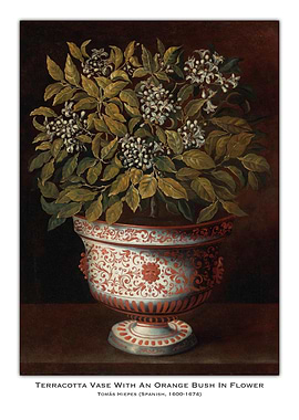 Terracotta Vase with Orange Bush