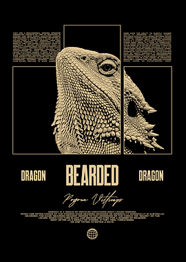 Bearded Dragon Reptile Keeper