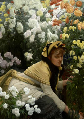 Woman Among Chrysanthemums