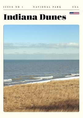 Indiana Dunes National Park Travel Art Poster