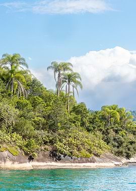 Tropical Island Shoreline Paraty Brazil