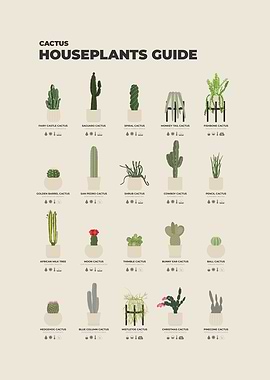 Cactus Houseplants Guide