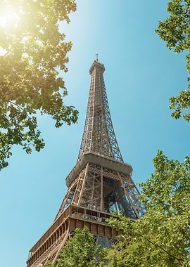 Eiffel Tower View