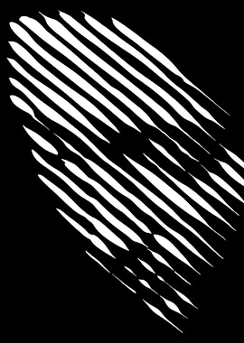 Abstract Black and White Stripes