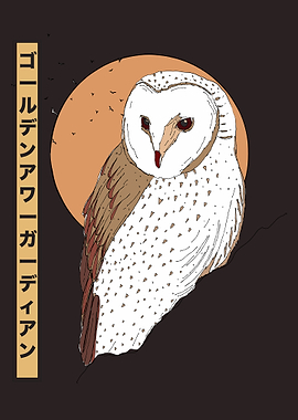 Barn Owl Illustration