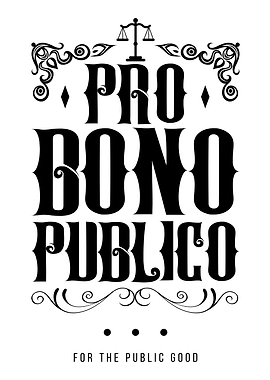 Pro Bono Publico