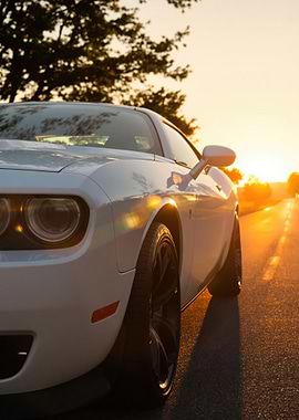 White Muscle Car Sunset