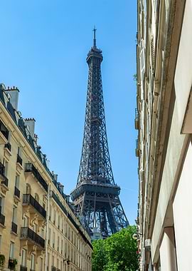 Eiffel Tower View