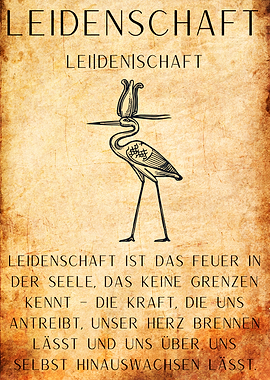 Passion Bird Illustration