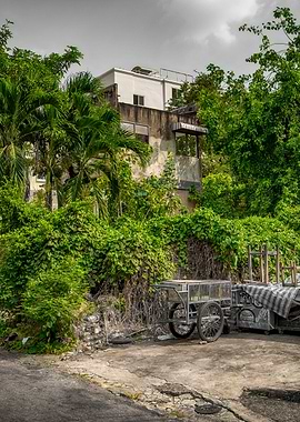 Urban Bangkok Jungle Cart
