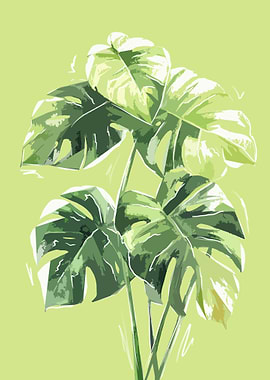 Tropical Monstera