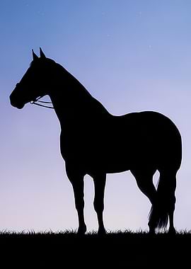 Horse Silhouette