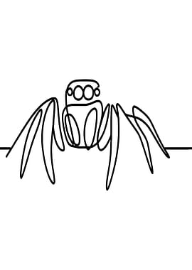 Jumping Spider Line Art