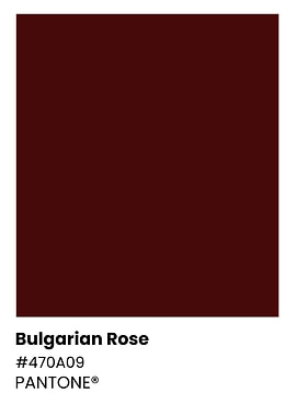 Pantone Color: Bulgarian Rose