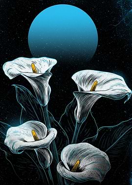 Calla Lilies Under a Blue Moon